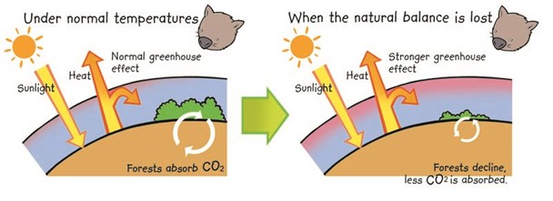 GLD greenhouse effect 500